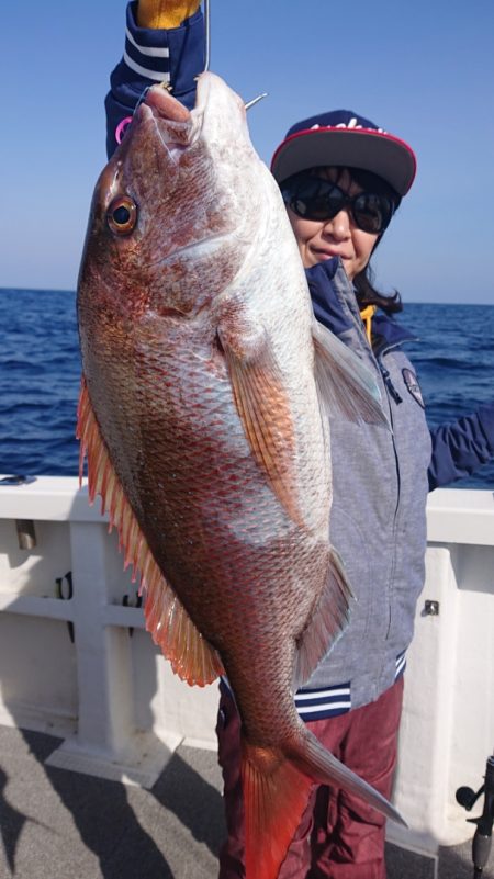 ARCADIAⅡ (アルカディアⅡ) 釣果