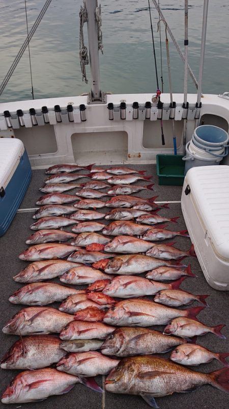 ARCADIAⅡ (アルカディアⅡ) 釣果