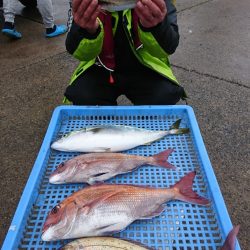 第三共栄丸 釣果