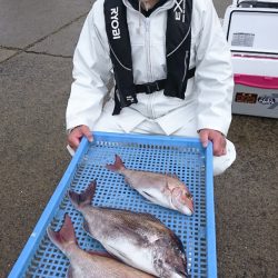 第三共栄丸 釣果