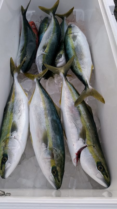 LUSTER『ラスター』 釣果