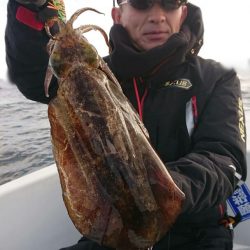 きずなまりん 釣果
