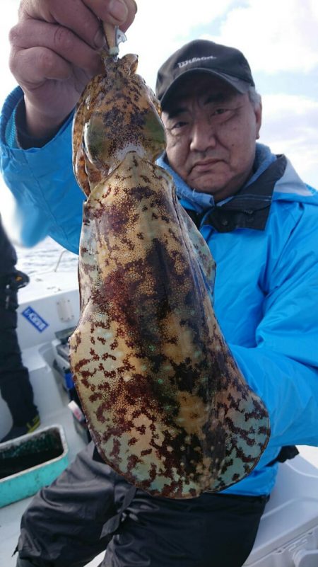 きずなまりん 釣果
