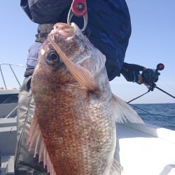 だて丸 釣果