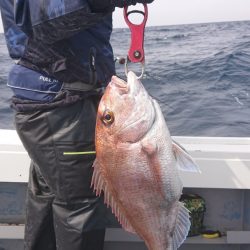 だて丸 釣果
