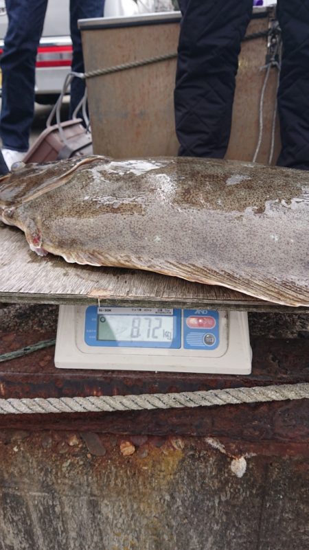 ARCADIAⅡ (アルカディアⅡ) 釣果