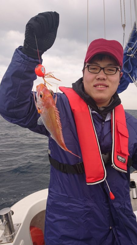 ARCADIAⅡ (アルカディアⅡ) 釣果