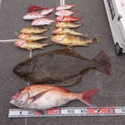 ARCADIAⅡ (アルカディアⅡ) 釣果