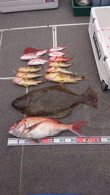 ARCADIAⅡ (アルカディアⅡ) 釣果