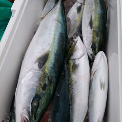 LUSTER『ラスター』 釣果