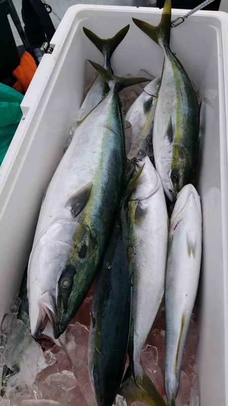 LUSTER『ラスター』 釣果