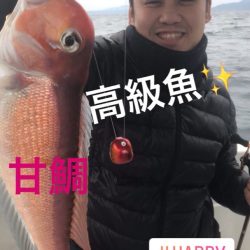 龍神丸（鹿児島） 釣果