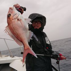 だて丸 釣果