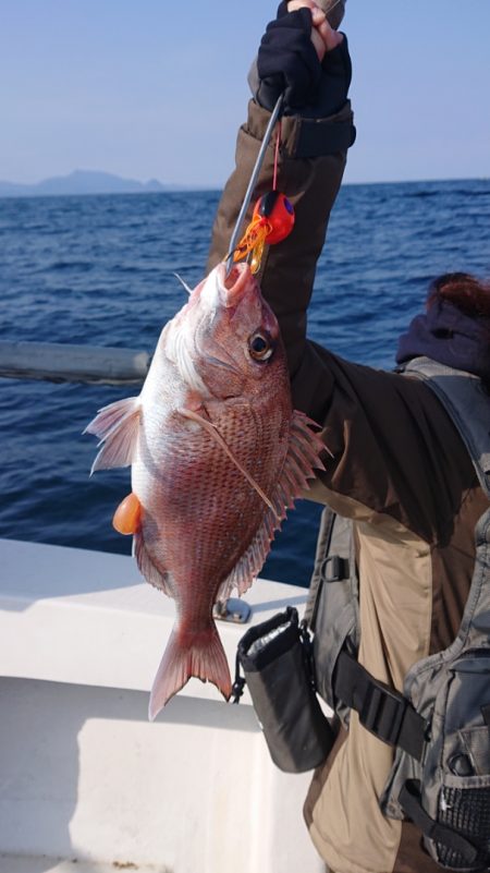 ARCADIAⅡ (アルカディアⅡ) 釣果