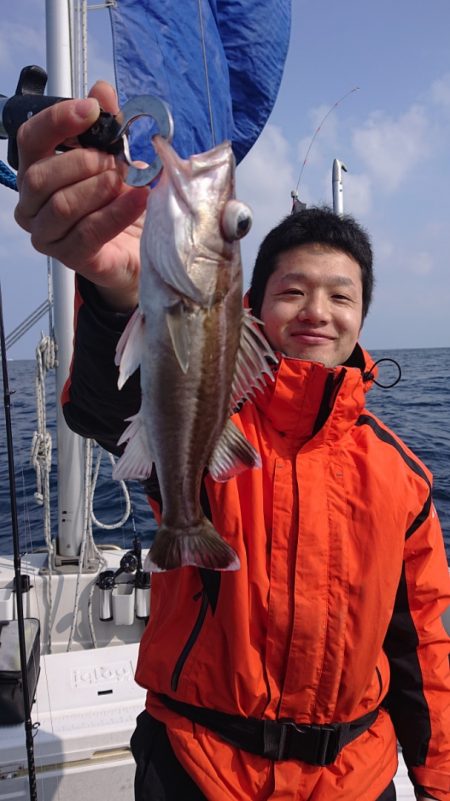 ARCADIAⅡ (アルカディアⅡ) 釣果