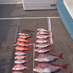 ARCADIAⅡ (アルカディアⅡ) 釣果