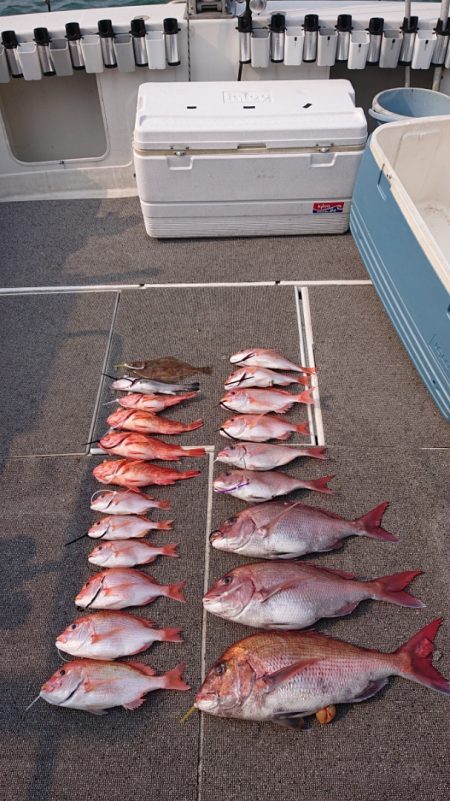 ARCADIAⅡ (アルカディアⅡ) 釣果