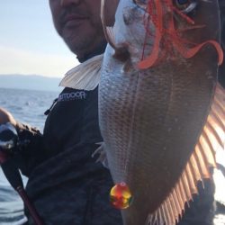 龍神丸(鹿児島) 釣果