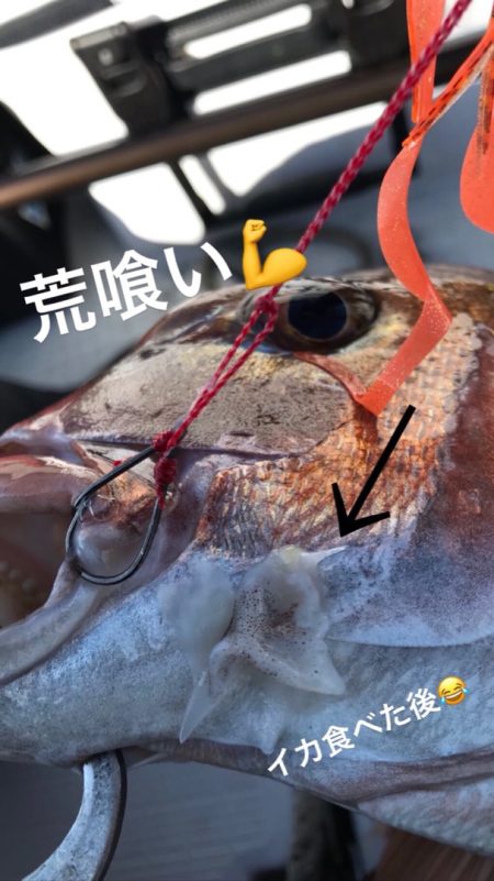 龍神丸(鹿児島) 釣果