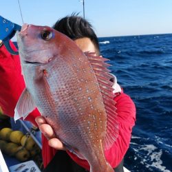 新幸丸 釣果