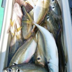 金沢八景鴨下丸 釣果