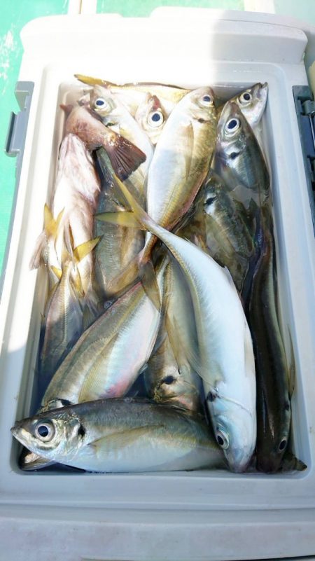 金沢八景鴨下丸 釣果