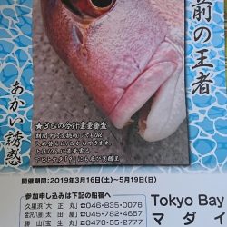 第三共栄丸 釣果