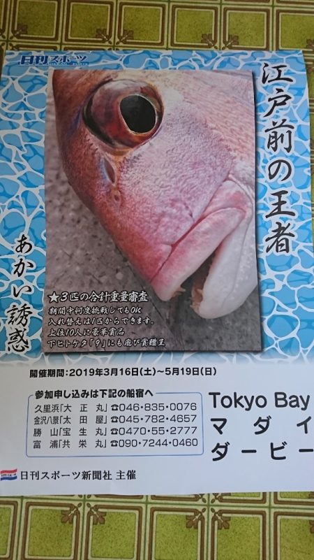 第三共栄丸 釣果