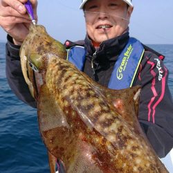 きずなまりん 釣果