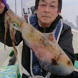 きずなまりん 釣果