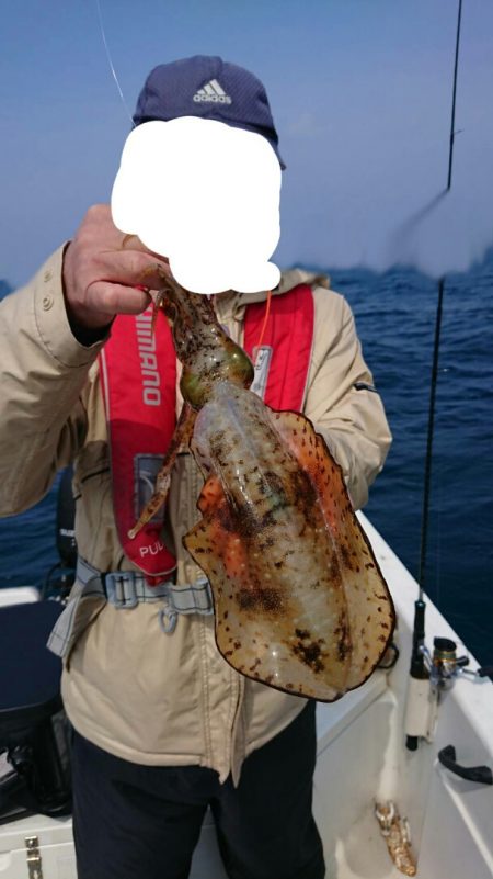 きずなまりん 釣果