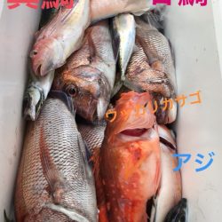 龍神丸(鹿児島) 釣果