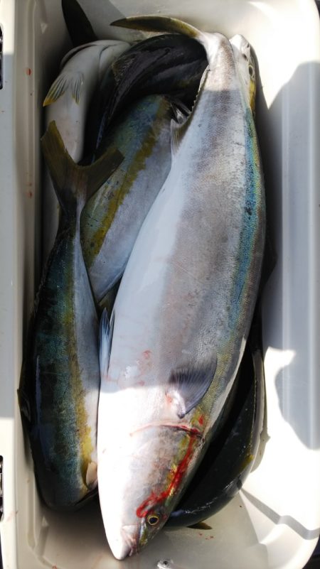 第二龍勢丸 釣果