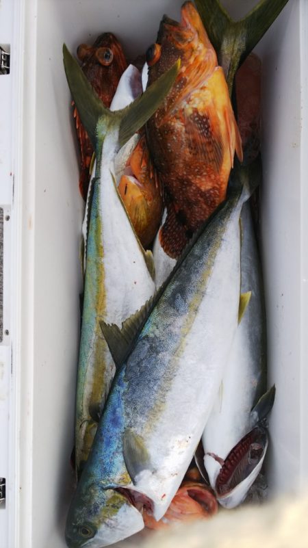 第二龍勢丸 釣果