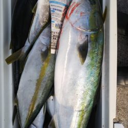 第二龍勢丸 釣果