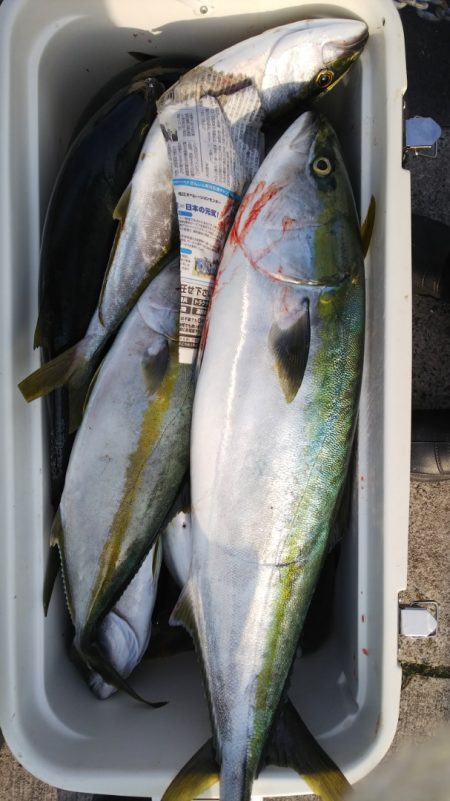 第二龍勢丸 釣果