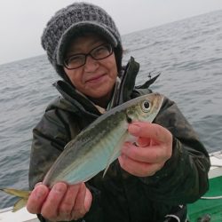 金沢八景鴨下丸 釣果