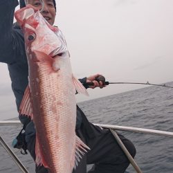 だて丸 釣果