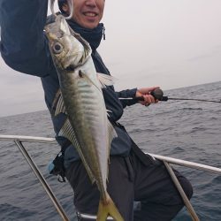 だて丸 釣果