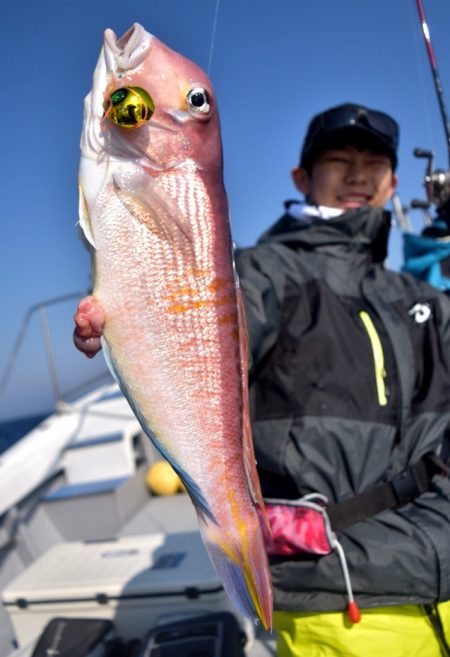 渡船屋たにぐち 釣果