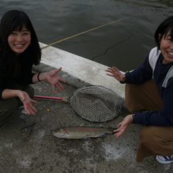 としまえんフィッシングエリア 釣果