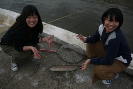 としまえんフィッシングエリア 釣果