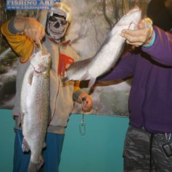 としまえんフィッシングエリア 釣果