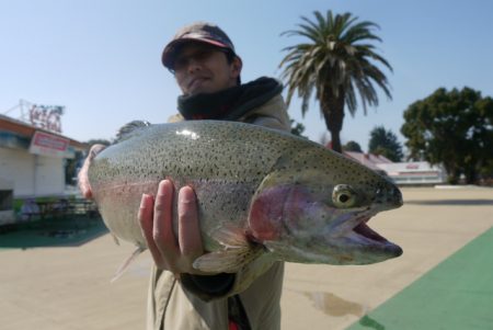 としまえんフィッシングエリア 釣果
