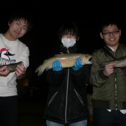 としまえんフィッシングエリア 釣果