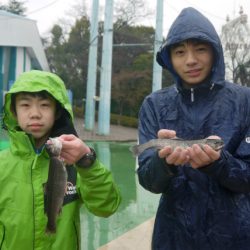 としまえんフィッシングエリア 釣果