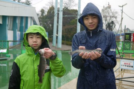としまえんフィッシングエリア 釣果