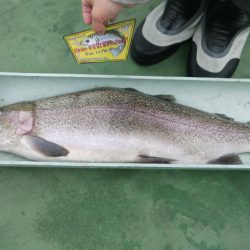 としまえんフィッシングエリア 釣果