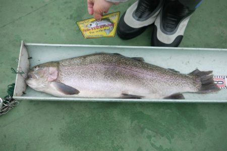 としまえんフィッシングエリア 釣果