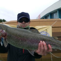 としまえんフィッシングエリア 釣果